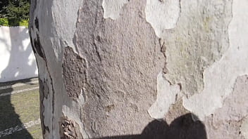 A Young Sucker Spied on Mommy in the Park and She Let Herself Be Touched!