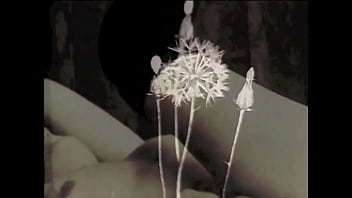 Vintage Dark London, In The Shadows Of The Swinging Sixties, Interracial Threesome