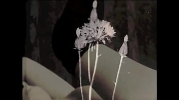 Vintage Dark London, In The Shadows Of The Swinging Sixties, Threesomes