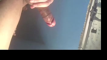 Minha pica bem alegre