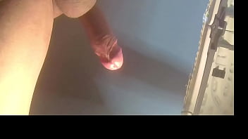 Minha pica bem alegre