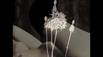 Pornostalgia, In The Shadows Of The Swinging Sixties