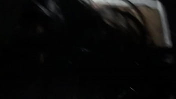 COMPILATION L&Eacute_A LA CHIENNE