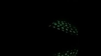 Royal Raand Night Mode On