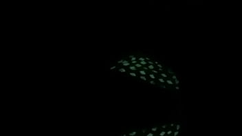 Royal Raand Night Mode On