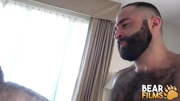 BEARFILMS Fat Bear Ivan Romanov Bred By Hairy Atlas Grant