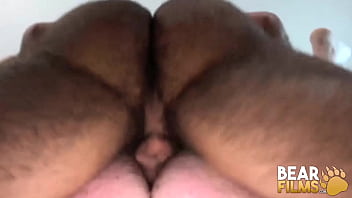 BEARFILMS Fat Bear Ivan Romanov Bred By Hairy Atlas Grant