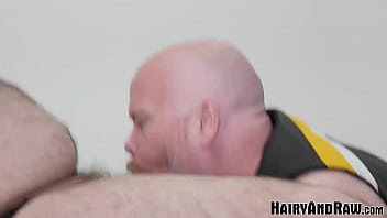 HAIRYANDRAW Fat Bears Steve Brody And Bearsilien Raw Breed