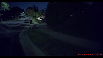 JULIE CASH BRICKZILLA - JULIE'_S NIGHTMARE