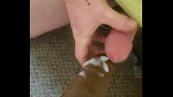 Work bathroom bbc toy