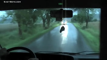 Exclusive - Caravan Boys - Buck