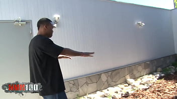 Big tits and big ass blonde Kelly Staxxx interacial porn video