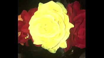 lEXus Superhead Wild Sloppy Deepthroat