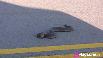 Flat Chested Finger Fucker Meggan Powers - Sweet Solo Girl Compilation