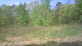 Public Wank On Path To Canine Park July 2016