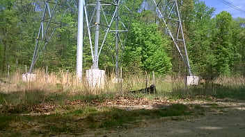 Public Wank On Path To Canine Park July 2016