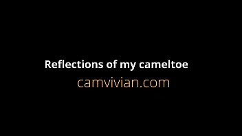 Reflections of my cameltoe pussy