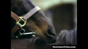 Royal MILF fucked by officer