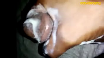 Virgin Boy Masturbate for Lack of Sex