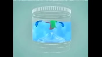 Denise Austin in white shorts