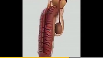 Trenton Ducati fucks the