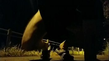 夜中の公園で露出配信オナニー[2/2] 2020.10.02