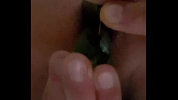 Th&eacute_aperv profite des derni&egrave_res courgettes de l'_ann&eacute_e