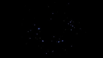 2018 Popular Ruby Modine Nude Show Her Cherry Tits From Shameless Seson 1 Episode 11 Sex Scene On PPPS.TV