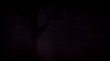 Busty Malaysian Shemale in the shower