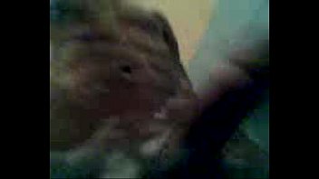 own room gay dick Indonesia