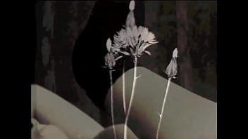 Vintage Dark Lantern London, Vintage Interracial Taboo