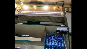 Nataly Shy first time ever flashing at new job part 15