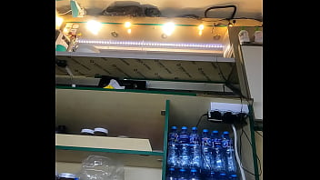 Nataly Shy first time ever flashing at new job part 14