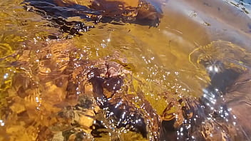 Novinha Branquinha Gostosa Conhecendo a Praia de Nudismo Primeira Vez | Bruninha Fonseca &amp_ Joao O Safado