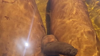 Novinha Branquinha Gostosa Conhecendo a Praia de Nudismo Primeira Vez | Bruninha Fonseca &amp_ Joao O Safado