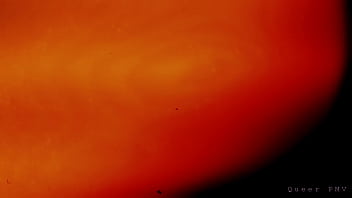 Bi Crossdresser PMV (Queer PMV)