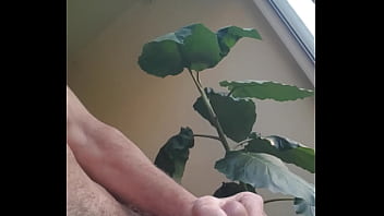 Got up very horny and wank off to nice cumming shot at backdoor