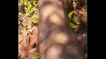 Mister pika gosando no mato