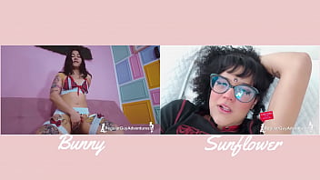 VERSUS#3 - BUNNY vs SUNFLOWER