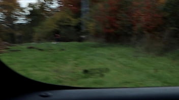 MY GF SUCKED AND FUCKED MY DICK IN THE CAR