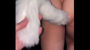 [More craziness] Wandering around town with a rabbit anal tail