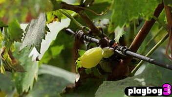 All natural small tits Asian MILF Katana shows hot body after striptease