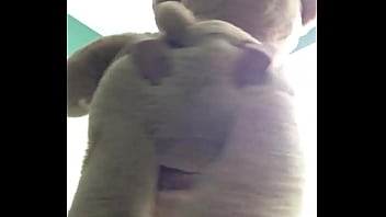 ABDL diapered sissy in pretty pink dress with teddybear