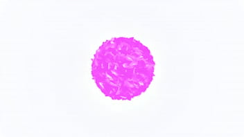 Dirty Daddy'_s Girls Production