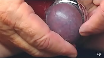 Banded and Shackled Testicle