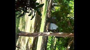 Mi hermanastra pide verga en publico