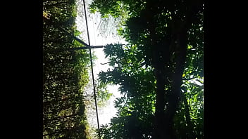 Mi hermanastra pide verga en publico