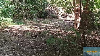 That wondrous forest.Mala dvojka