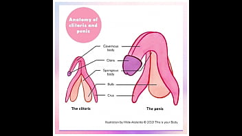 PUSSY EATING ART! How to Lick Pussy