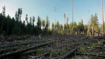 girl big tits in forest masturbate to help fix